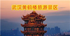 非美逼逼日